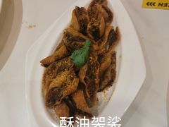 -金柱大盘鸡(南门店)