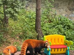 -大连森林动物园