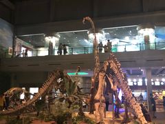 -自贡恐龙博物馆