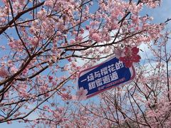 -梅州天地人花园酒店(梅县人民广场店)