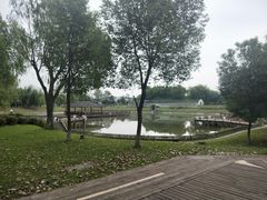 -太阳岛度假酒店