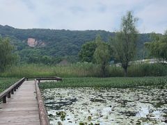 -长广溪湿地公园