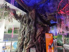 -正佳雨林生态植物园