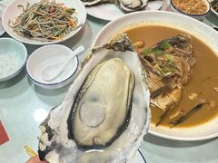 -听涛雅苑百味饺子老家菜馆