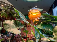 -星叶·东南亚料理(宁波万象汇店)