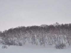 -乌兰布统草原