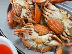 -南沙十九涌渔人码头-南门