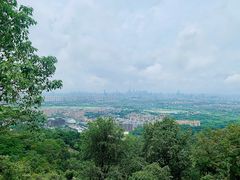 -火炉山森林公园