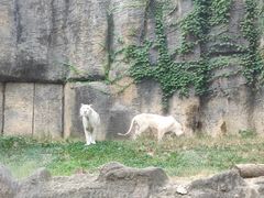 -杭州野生动物世界