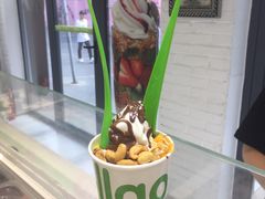 -Salud撒露欧洲冻酸奶(798艺术区店)