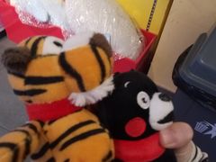 -PAWTOY爪e玩偶店(天兴罗斯福店)