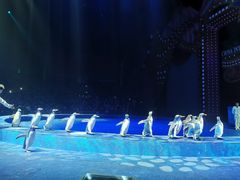 -珠海横琴长隆《卡卡虎奇遇记》