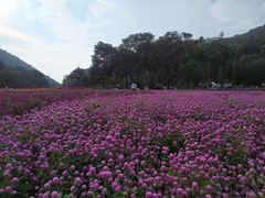 -广州市石门国家森林公园