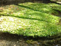 -水磨沟公园