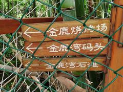 -杨梅坑