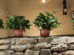 -并州大牌档之醉轻尘