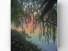 -东湖磨山景区