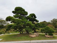 -扬州大运河文化旅游度假区·盆景园