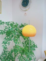 -变美丽半永久纹眉连锁·机器野生眉·洗眉