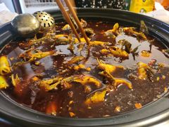 -金海椒罐罐鲢鱼(东方桂苑店)