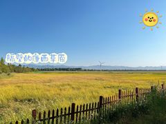 -野鸭湖国家湿地公园