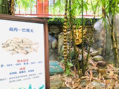-嘉和K6温泉微度假