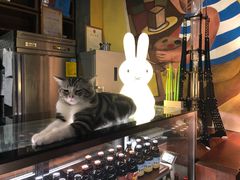 -咖法森林·咖啡  酒吧(天河店)