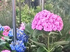 -南屏步行街