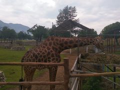 -西安秦岭野生动物园