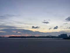 -东郊椰林