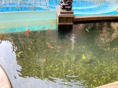-上海星河湾酒店(闵行店)