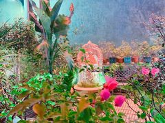 -more than meow吴止猫主题餐厅(承德 中船汇店)