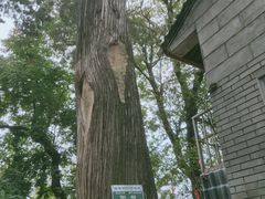 -终南山南五台景区