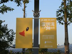 -深圳人才公园