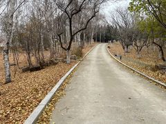 -长春世界雕塑园冰雪艺术天地