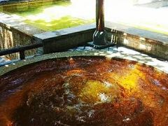 -春晖园度假酒店温泉