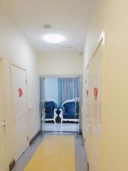 -青岛诺德医学美容医院