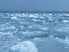 -丁香湖公园