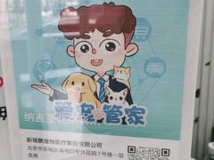 -纳吉亚猫专科动物诊疗中心(蒋宅口分院)