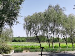 -东郊湿地公园