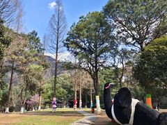 -虞山风景区