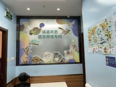 -瑞派·关忠动物医院·异宠专科·犬猫肿瘤·皮肤专科(望京店)