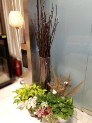 大堂-三只熊皮肤管理中心
