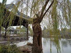 -无锡蠡湖国家湿地公园-蠡园