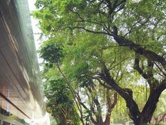 -尖沙咀中国客运码头
