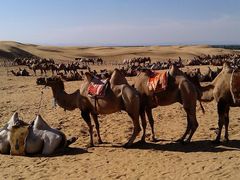 -亿利库布其七星湖沙漠生态旅游区