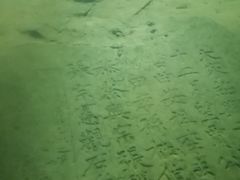 -白鹤梁水下博物馆