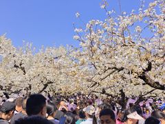 -江苏三台山国家森林公园