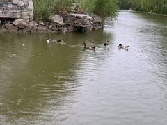 -南翠屏公园