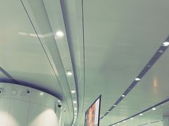 -麦当劳(北京大兴机场二层国内到达(安检外)店)